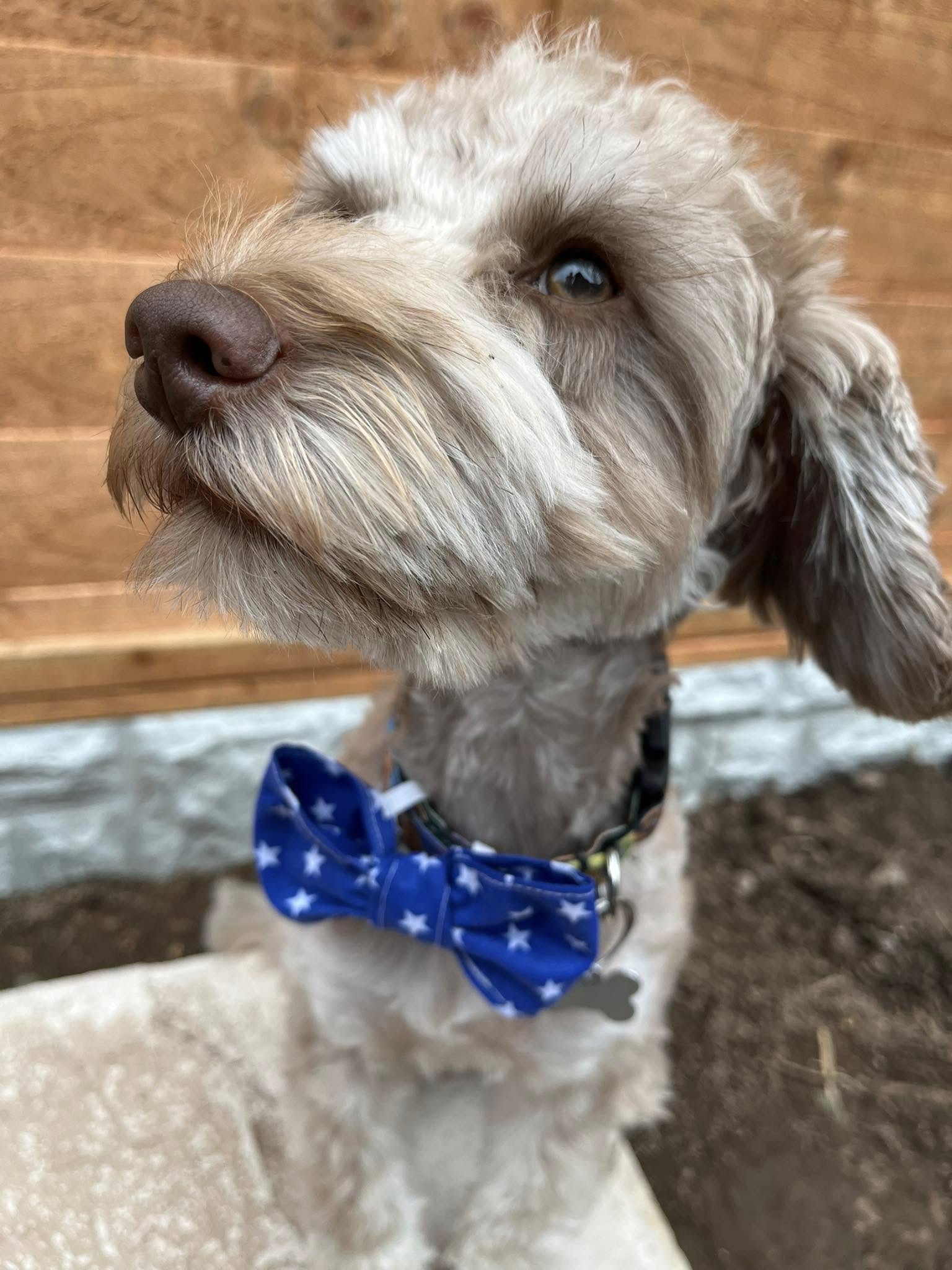 Handmade By Tracy Christa